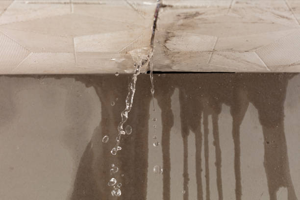 Professional Burst Pipe Cleanup technician working in Rowley, MA